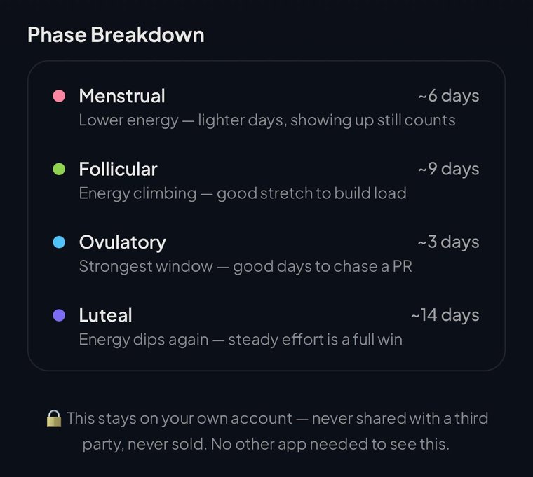 Phase breakdown — how long each phase runs for you and what it means for training